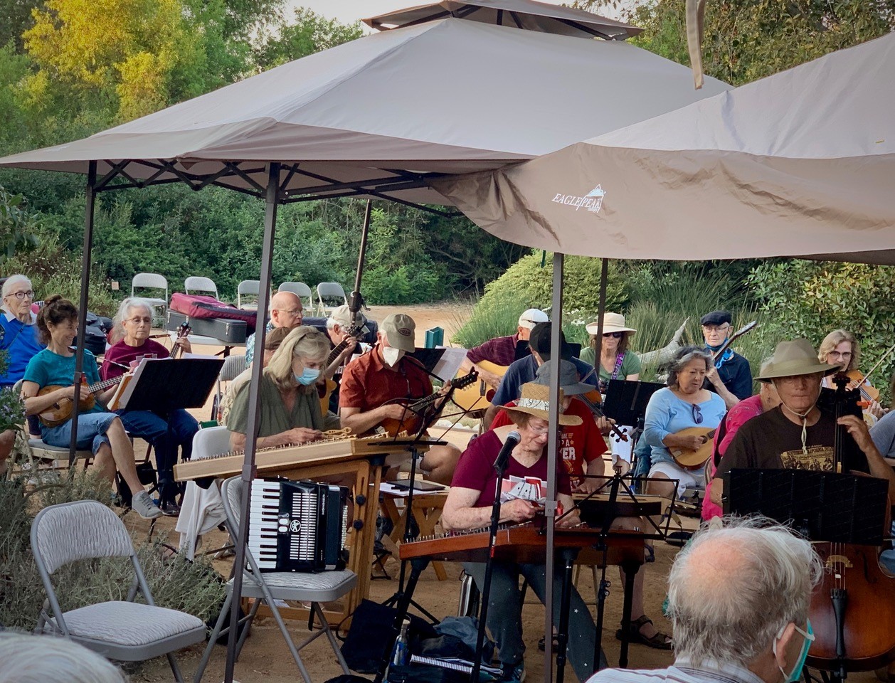 Festival Hammered Dulcimer Focus